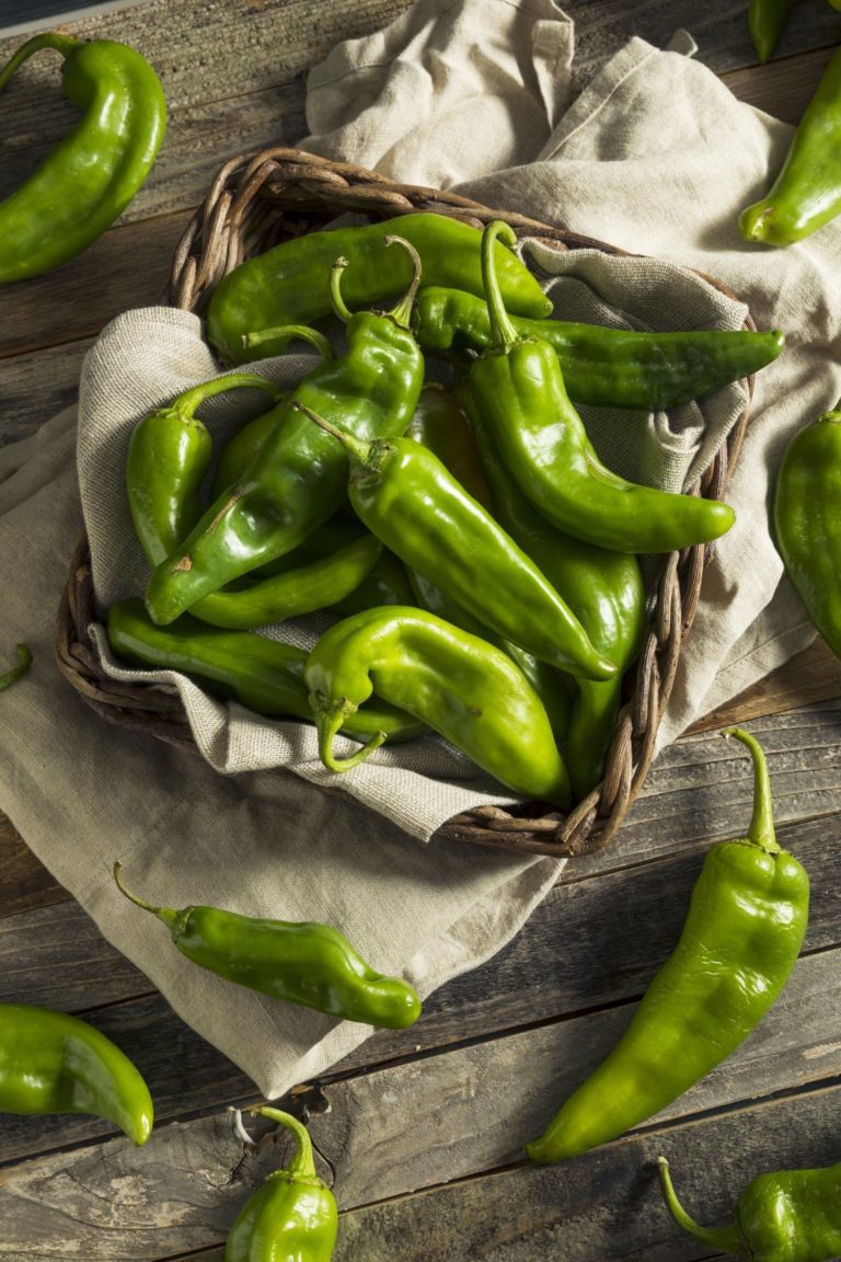 Hatch Green Chile