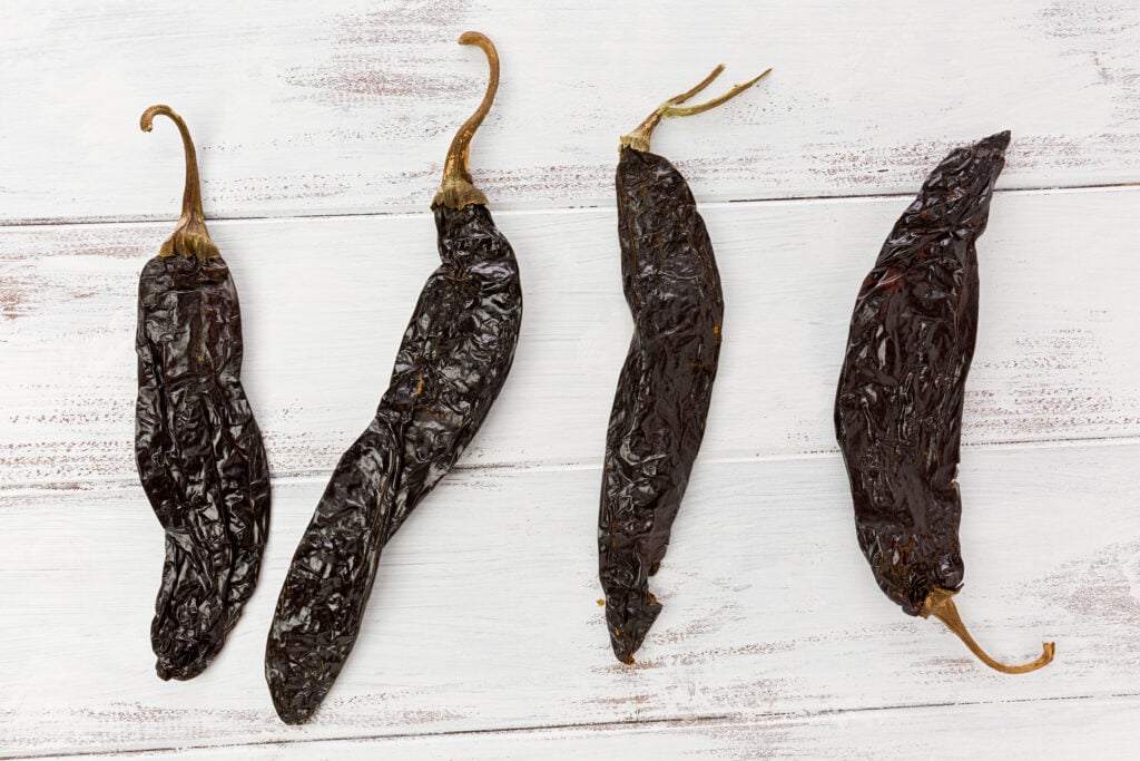 Pasilla Chile