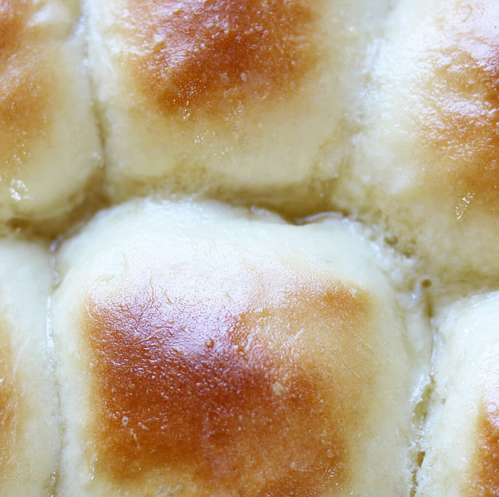 Dinner Rolls